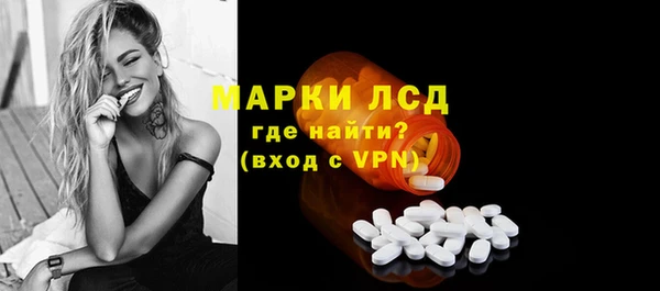spice Богородицк