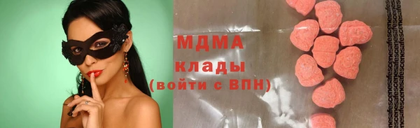 spice Богородицк