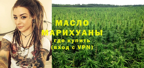spice Богородицк