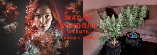 spice Богородицк