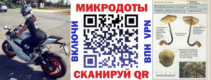купить наркотик  Дорогобуж  Галлюциногенные грибы MAGIC MUSHROOMS 